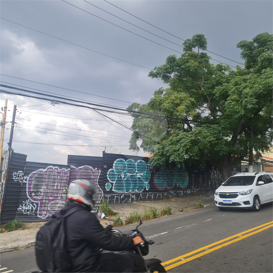 Foto REO1075390