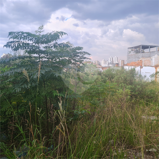 Foto REO1075390