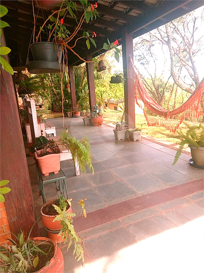 Foto REO1075404