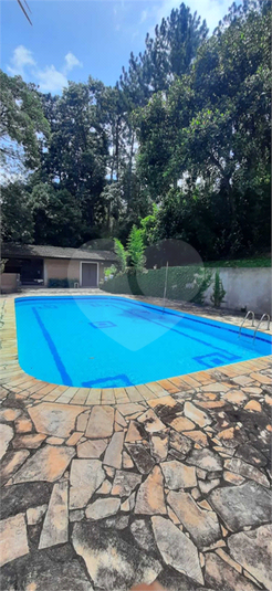 Foto REO1075404