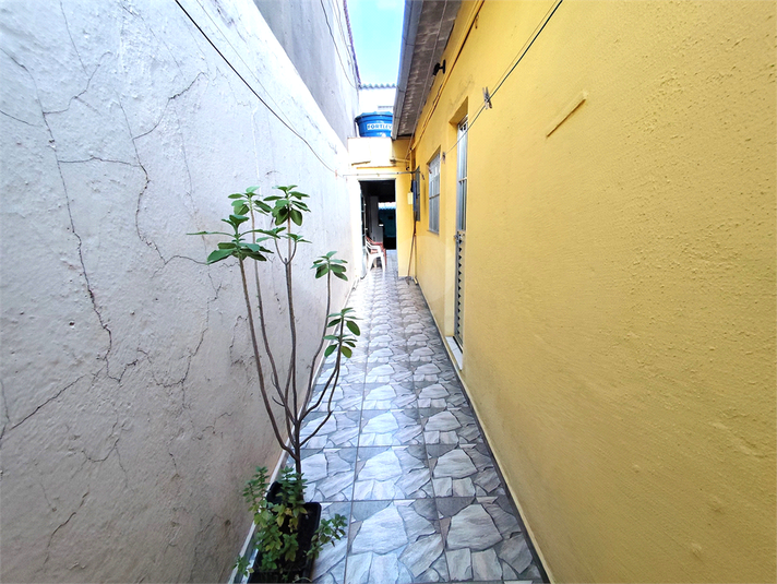 Foto REO1075407