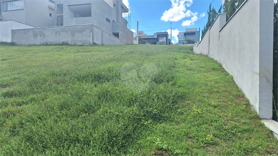 Foto REO1075435