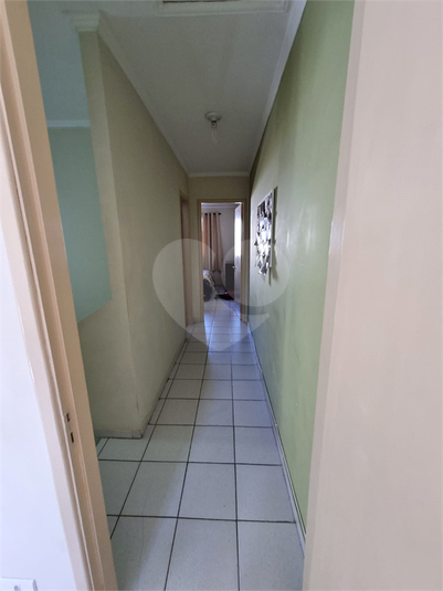 Foto REO1075470