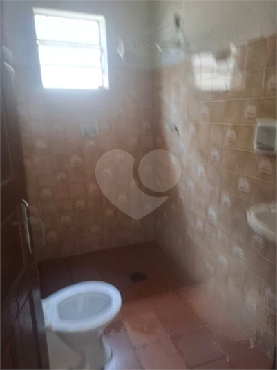 Foto REO1075484