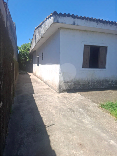 Foto REO1075484