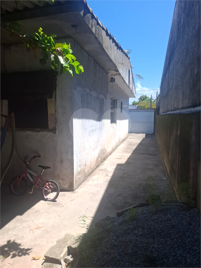 Foto REO1075484