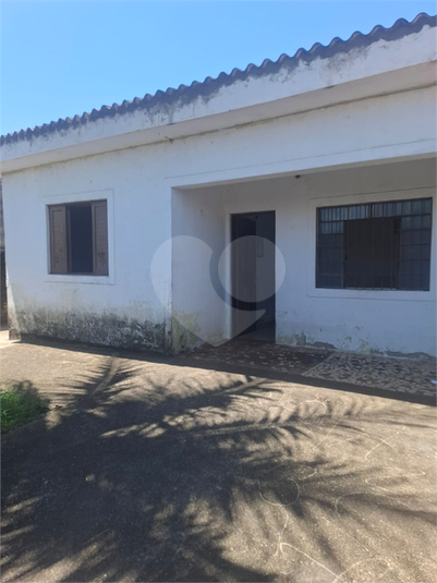 Foto REO1075484
