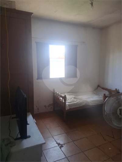 Foto REO1075484