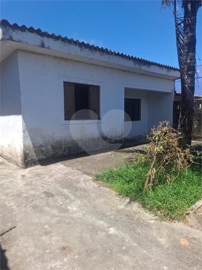Foto REO1075484