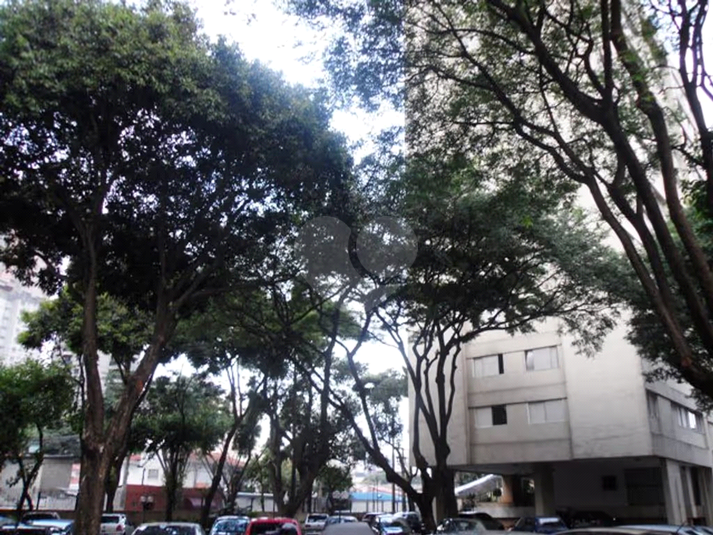 Foto REO1075532