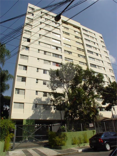 Foto REO1075532