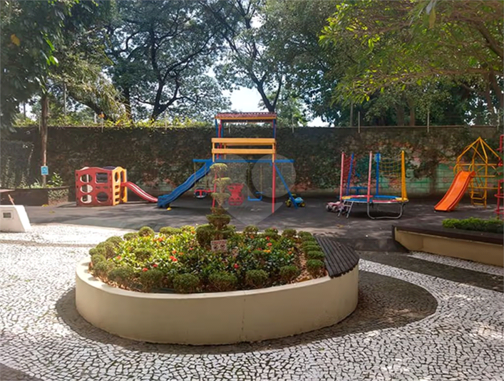 Foto REO1075532