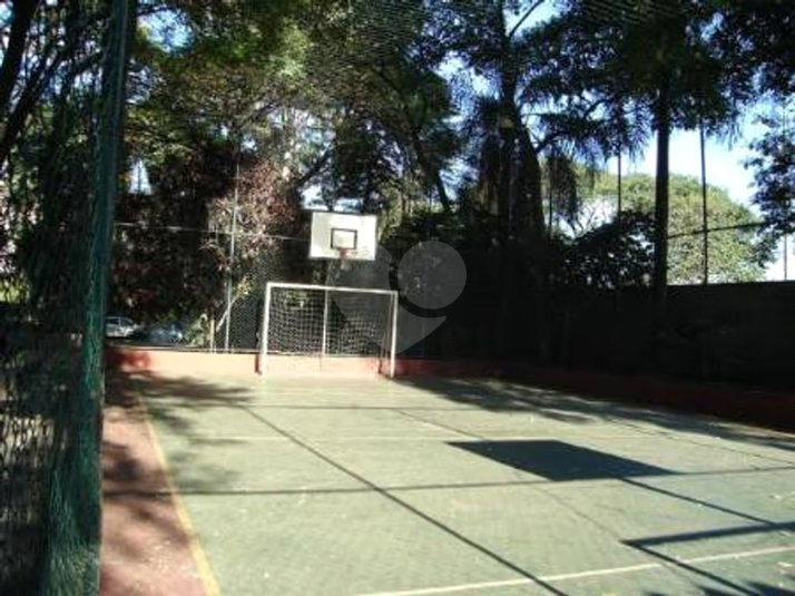 Foto REO1075532