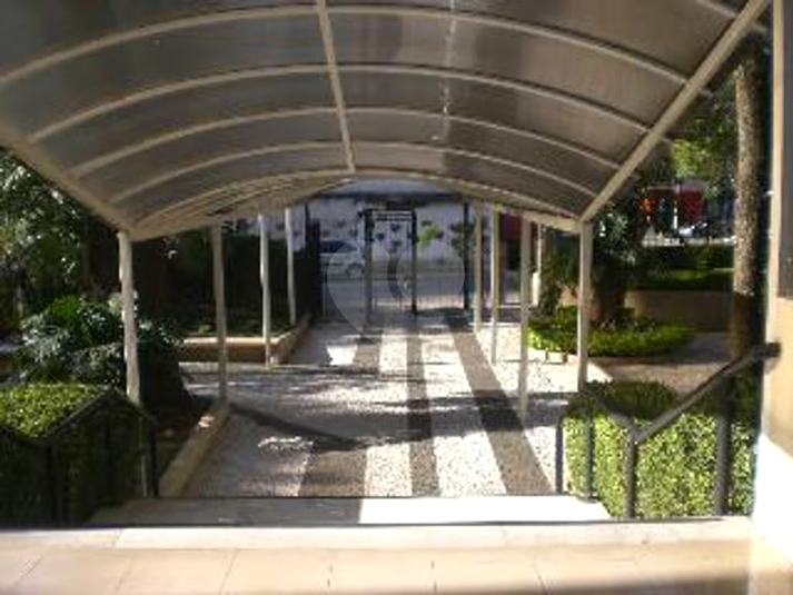 Foto REO1075532