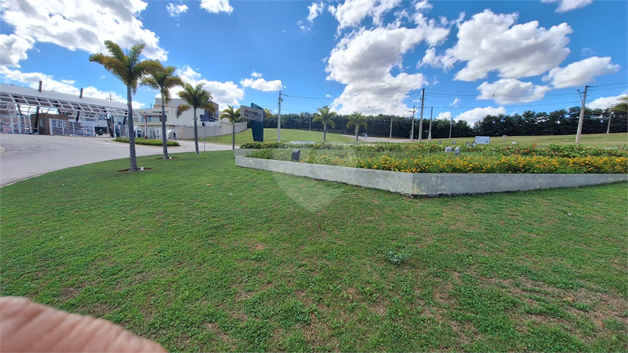 Foto REO1075537