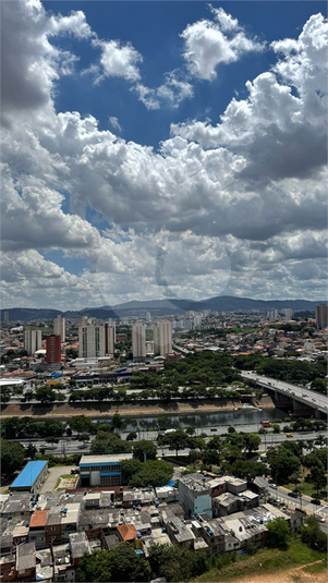 Foto REO1075559