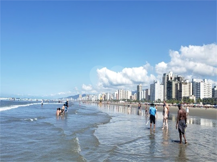 Foto REO1075577