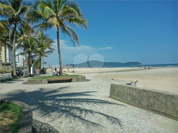 Foto REO1075577