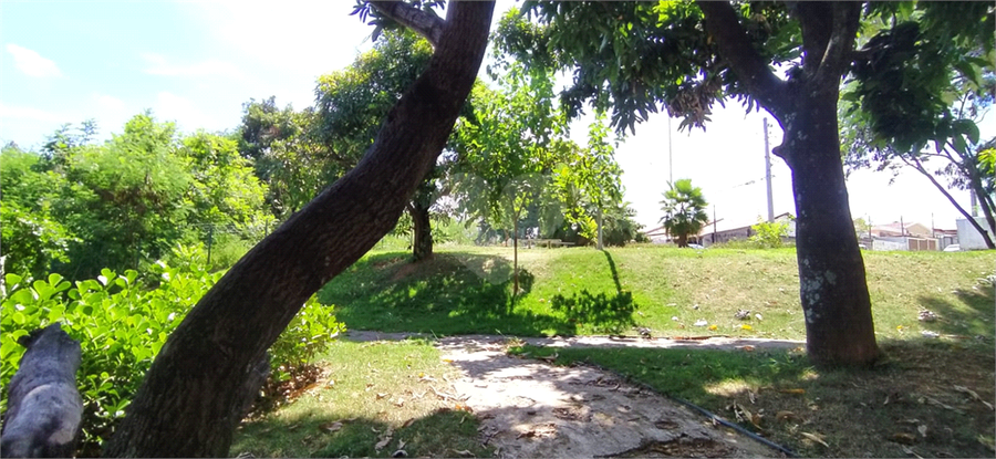 Foto REO1075598