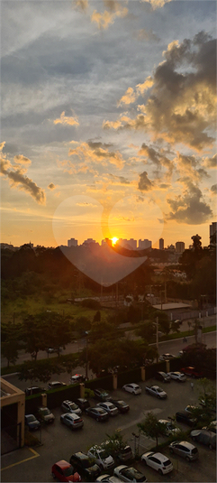 Foto REO1075602
