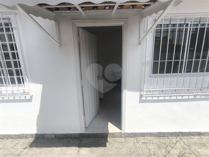 Foto REO1075623