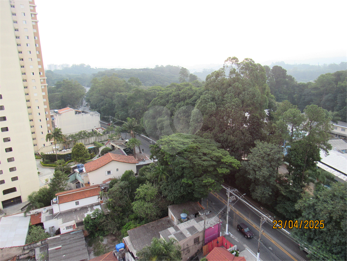 Foto REO1075628