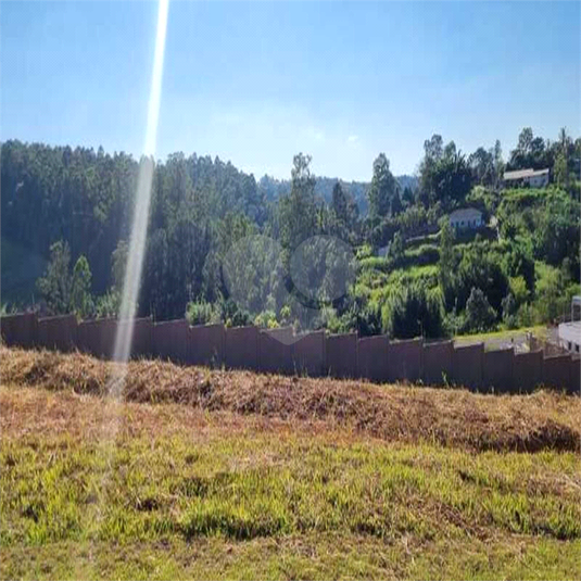 Foto REO1075632