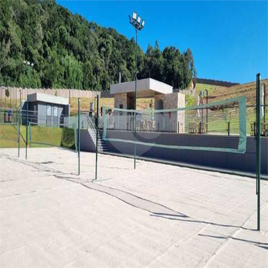 Foto REO1075632