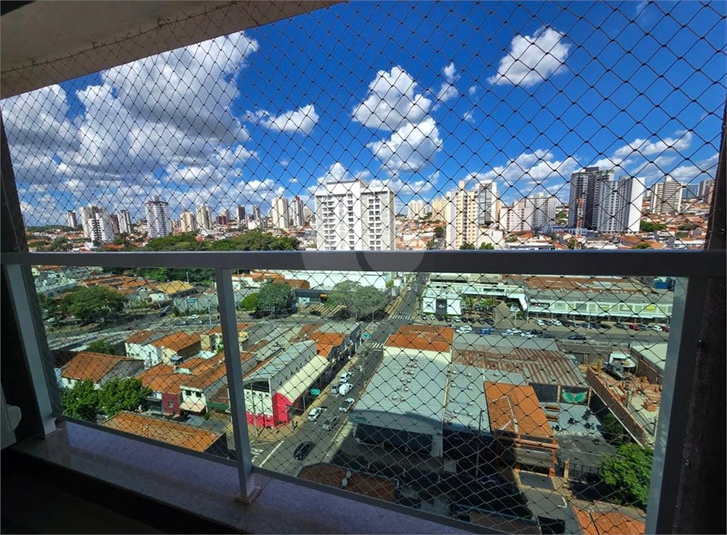 Foto REO1075633