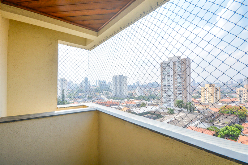 Foto REO1075634