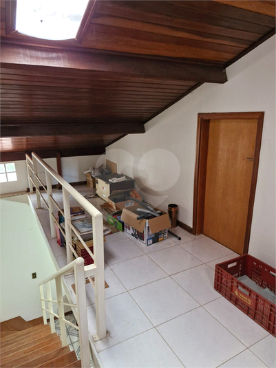 Foto REO1075637