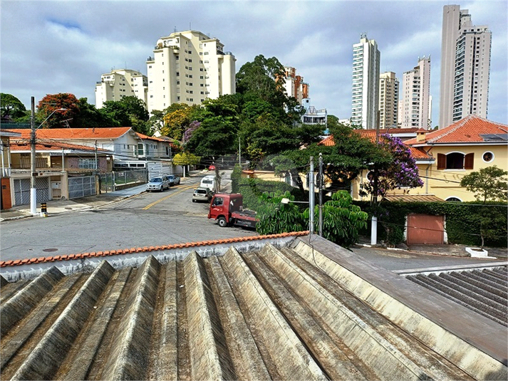 Foto REO1075638
