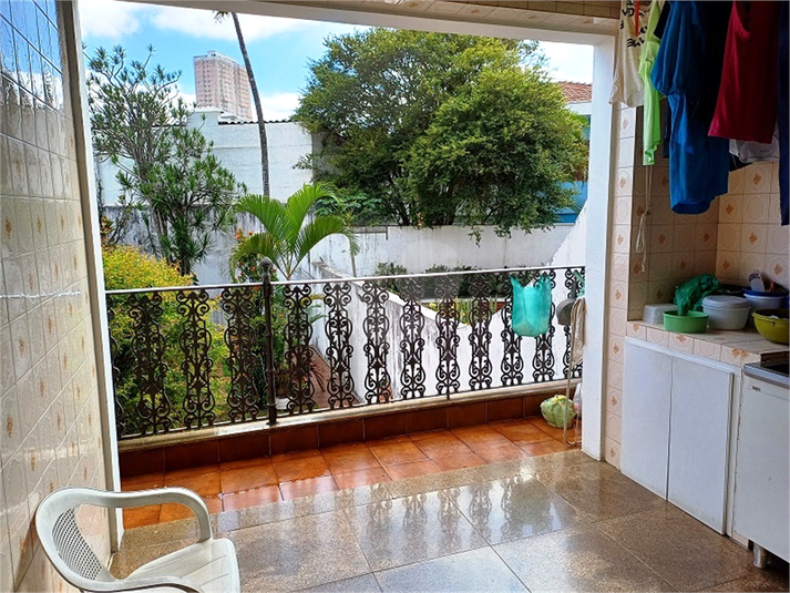 Foto REO1075638