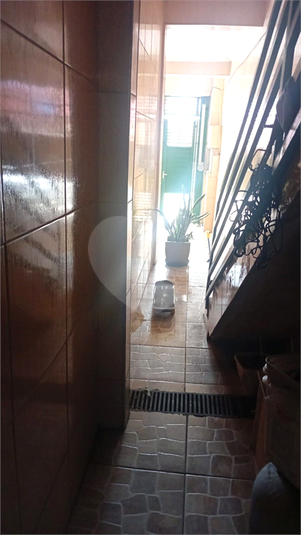 Foto REO1075643