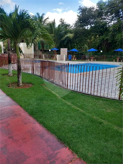 Foto REO1075646