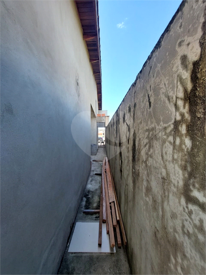 Foto REO1075652