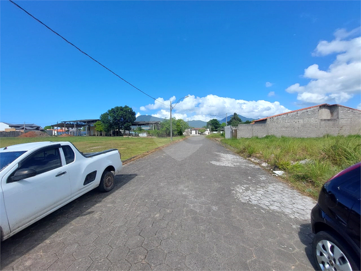 Foto REO1075652