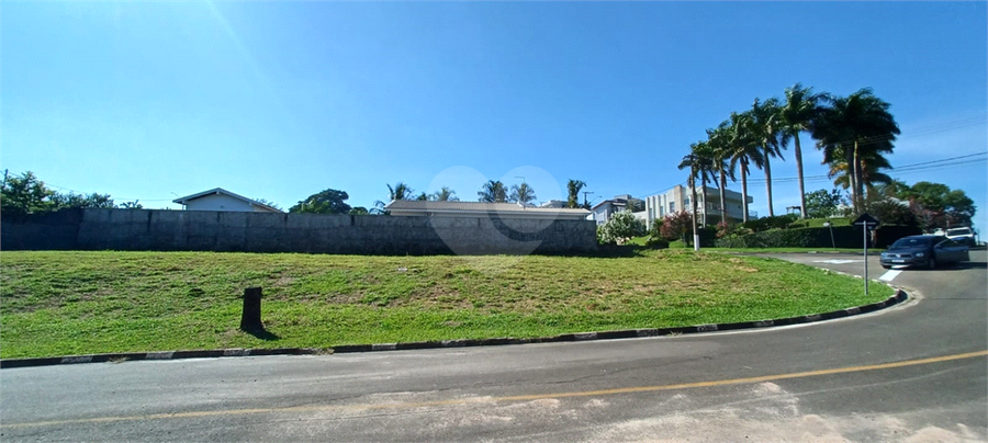 Foto REO1075685