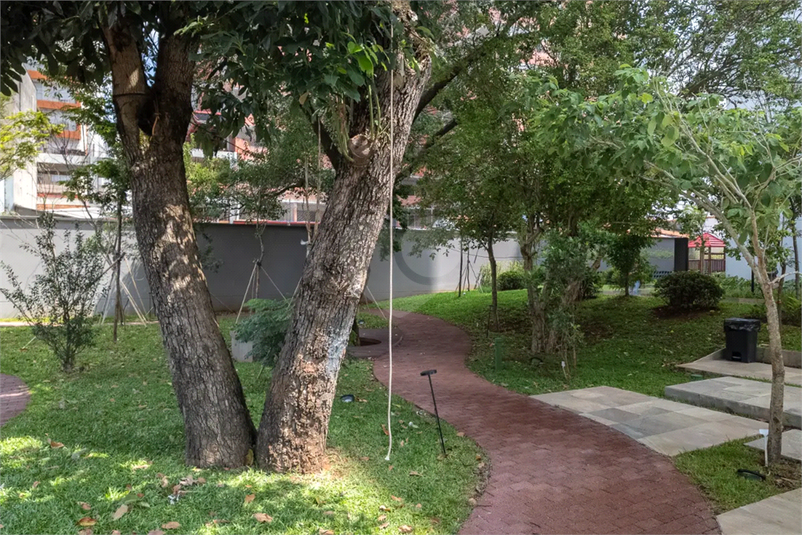 Foto REO1075691