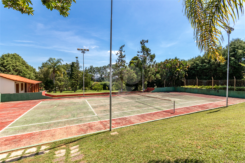 Foto REO1075696