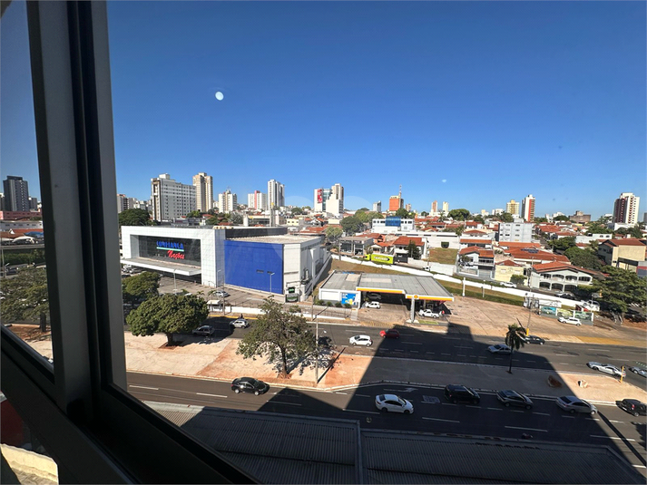 Foto REO1075712