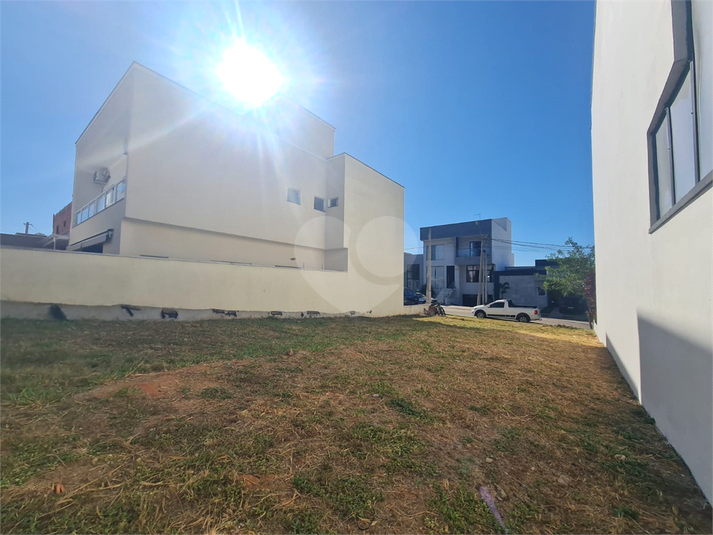 Foto REO1075726