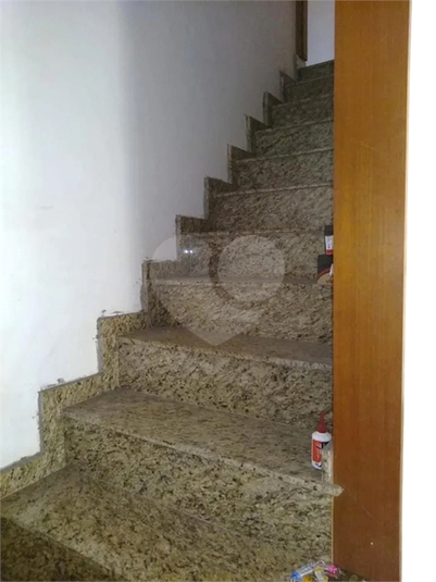 Foto REO1075729
