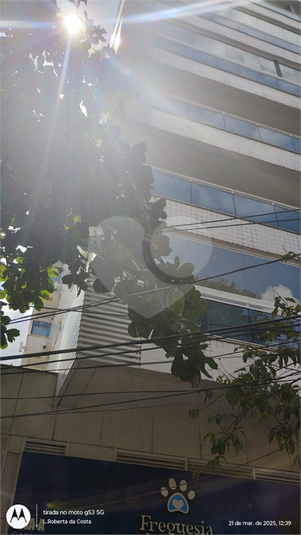 Foto REO1075730