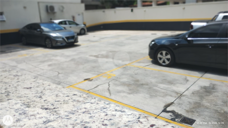 Foto REO1075730