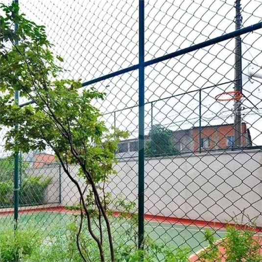 Foto REO1075743
