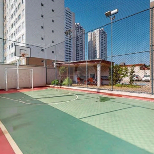 Foto REO1075743