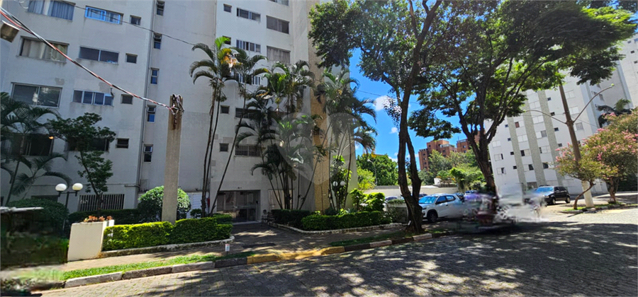 Foto REO1075767