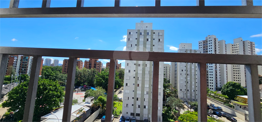 Foto REO1075767