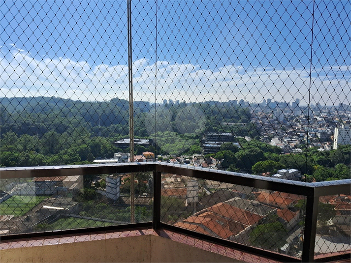 Foto REO1075780